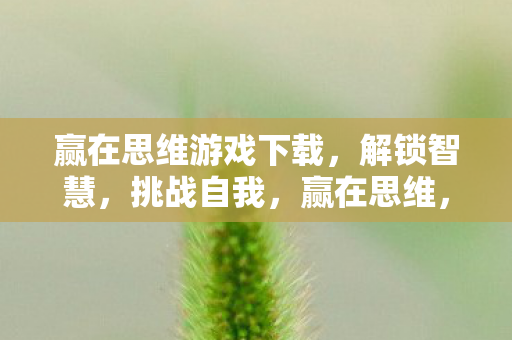 赢在思维游戏下载图片