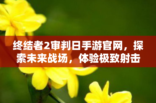 终结者2审判日手游官网图片