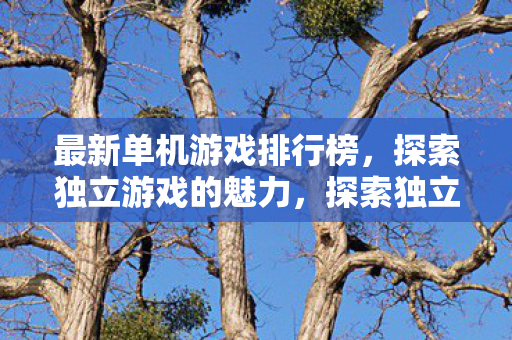 最新单机游戏排行榜揭晓图片