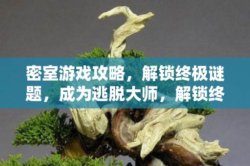 密室游戏攻略，解锁终极谜题，成为逃脱大师，解锁终极谜题，成为逃脱大师的密室游戏攻略