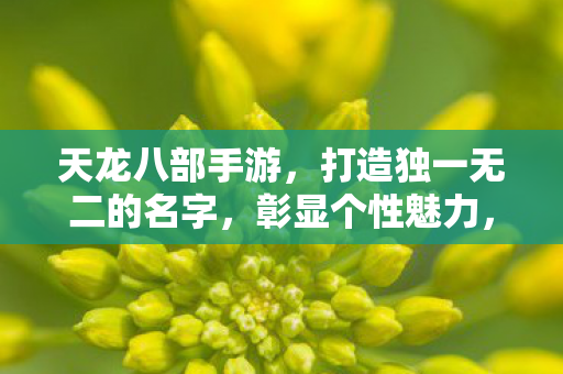 天龙八部手游打造独一无二名字图片