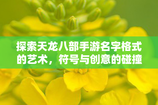 探索天龙八部手游名字格式的艺术图片