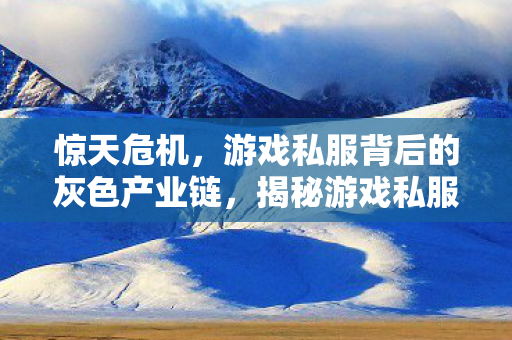 揭秘游戏私服背后的灰色产业链图片