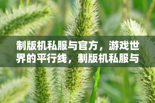 制版机私服与官方图片