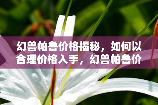 如何以合理价格入手图片