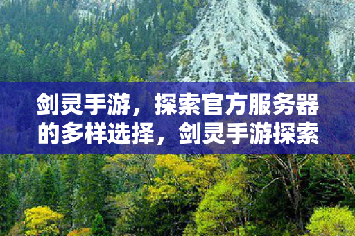 剑灵手游，探索官方服务器的多样选择，剑灵手游探索官方服务器，多样选择等你来体验！
