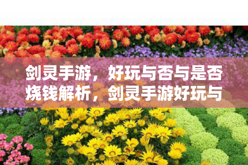 剑灵手游,好玩与否与是否烧钱解析,剑灵手游好玩与否与是否烧钱的深度解析 剑灵手游,好玩与否与是否烧钱解析,剑灵手游好玩与否与是否烧钱的深度解析