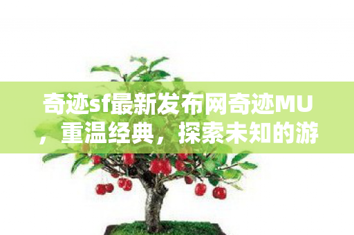 奇迹sf最新发布网奇迹MU图片
