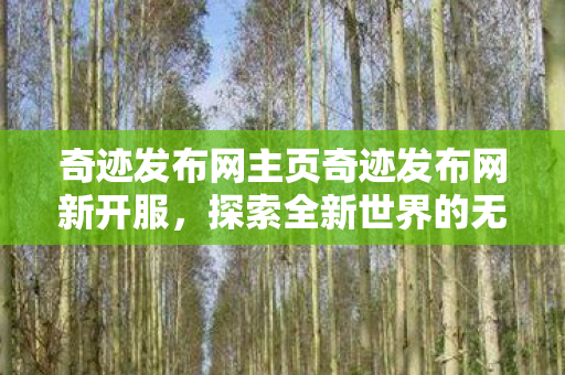 奇迹发布网主页奇迹发布网新开服图片