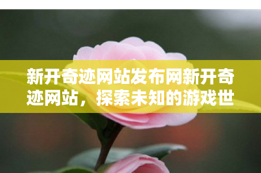 新开奇迹网站发布网新开奇迹网站图片
