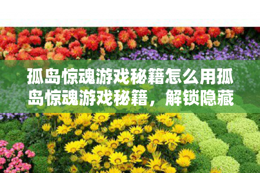 孤岛惊魂游戏秘籍怎么用孤岛惊魂游戏秘籍,解锁隐藏关卡与武器,孤岛惊魂游戏秘籍,解锁隐藏关卡与武器 孤岛惊魂游戏秘籍怎么用孤岛惊魂游戏秘籍,解锁隐藏关卡与武器,孤岛惊魂游戏秘籍,解锁隐藏关卡与武器