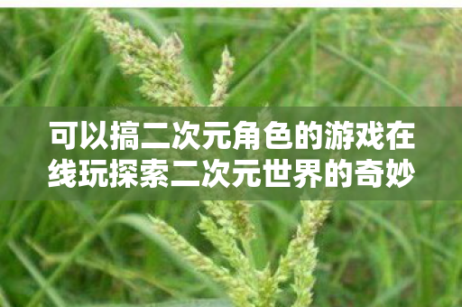 可以搞二次元角色的游戏在线玩探索二次元世界的奇妙之旅图片