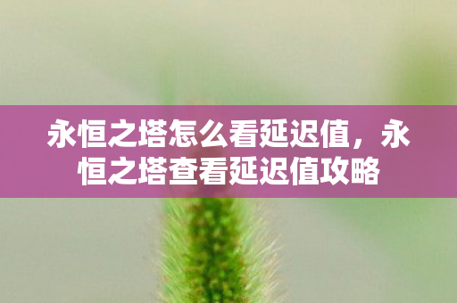 永恒之塔查看延迟值攻略图片