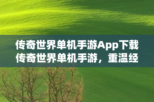 传奇世界单机手游App下载传奇世界单机手游图片