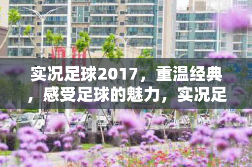 实况足球2017图片