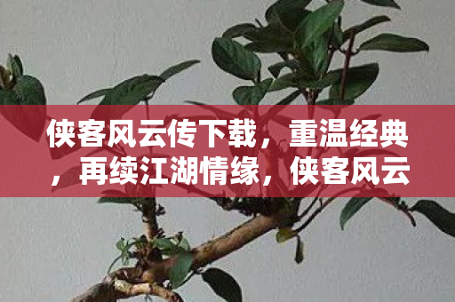 再续江湖情缘下载开启图片