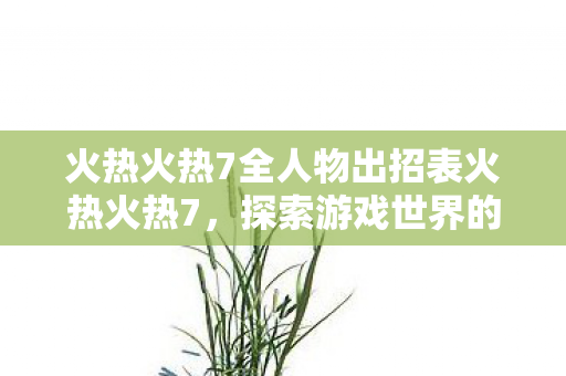 火热火热7全人物出招表火热火热7图片
