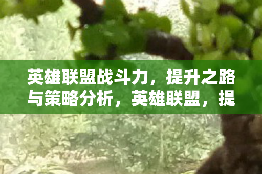 提升战斗力的策略分析之路图片
