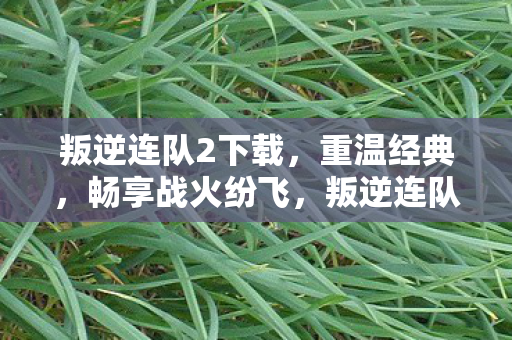 叛逆连队2下载图片