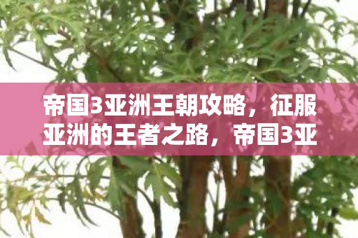 帝国3亚洲王朝征服亚洲攻略图片