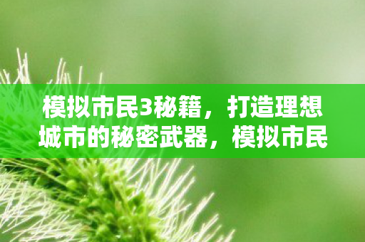 模拟市民3秘籍，打造理想城市的秘密武器，模拟市民3打造理想城市的秘籍与策略