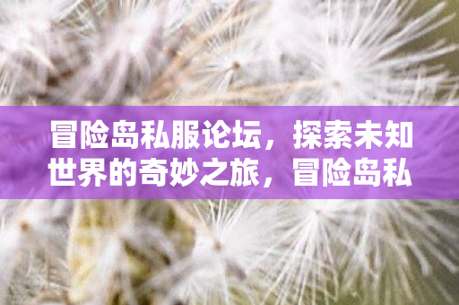 冒险岛私服论坛，探索未知世界的奇妙之旅，冒险岛私服论坛，探索未知世界的奇妙之旅