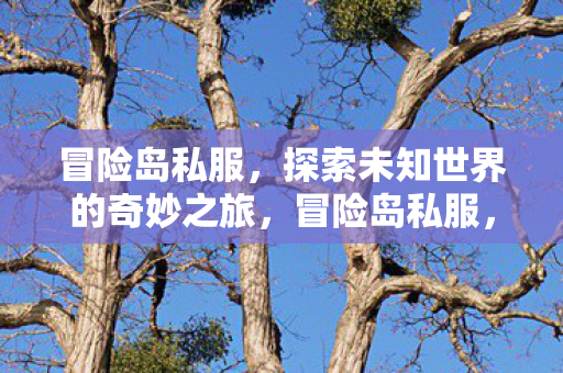 冒险岛私服，探索未知世界的奇妙之旅，冒险岛私服，开启探索未知世界的奇妙之旅
