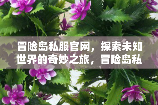 冒险岛私服官网,探索未知世界的奇妙之旅,冒险岛私服官网,开启探索未知世界的奇妙之旅 冒险岛私服官网,探索未知世界的奇妙之旅,冒险岛私服官网,开启探索未知世界的奇妙之旅