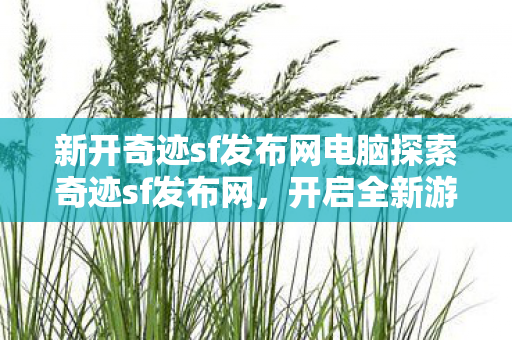 新开奇迹sf发布网电脑探索奇迹sf发布网图片