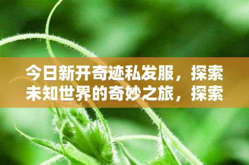 探索未知世界的奇妙之旅图片