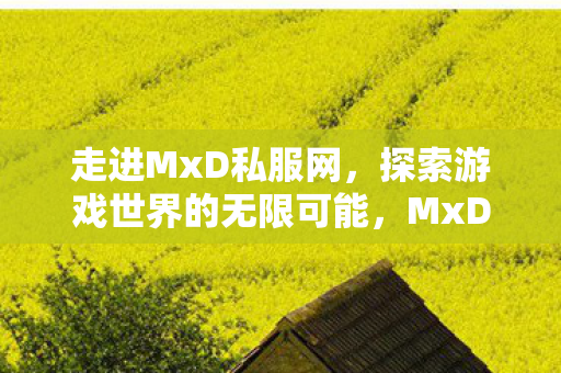走进MxD私服网，探索游戏世界的无限可能，MxD私服网，探索游戏世界的无限可能