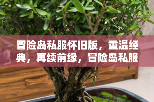冒险岛私服怀旧版，重温经典，再续前缘，冒险岛私服怀旧版，重温经典，再续前缘
