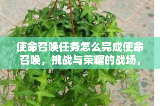 使命召唤任务怎么完成使命召唤，挑战与荣耀的战场，使命召唤任务攻略，挑战与荣耀的战场