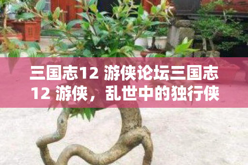 三国志12 游侠论坛三国志12 游侠，乱世中的独行侠，三国志12游侠，乱世中的独行侠
