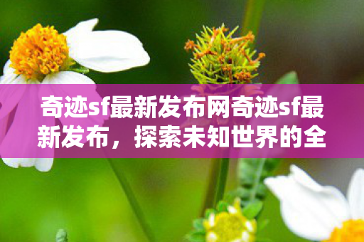 奇迹sf最新发布网奇迹sf最新发布图片