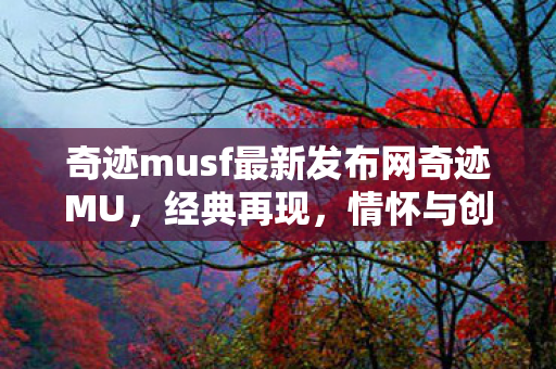 奇迹musf最新发布网奇迹MU图片