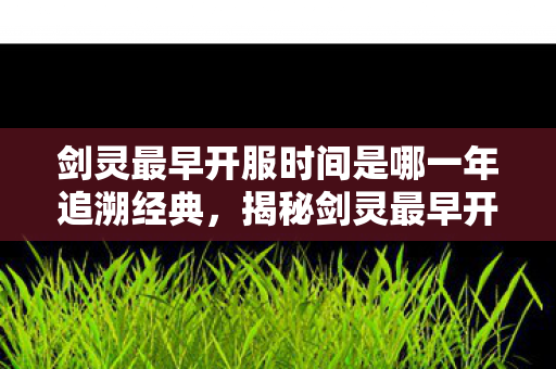 剑灵最早开服时间是哪一年追溯经典，揭秘剑灵最早开服的时光，揭秘，经典网游剑灵最早开服时间
