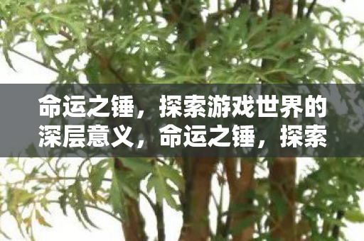 探索游戏世界的深层意义图片
