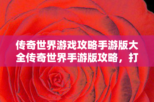 传奇世界游戏攻略手游版大全传奇世界手游版攻略图片