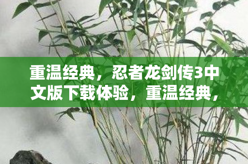忍者龙剑传3中文版下载体验图片