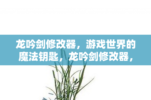 解锁游戏世界的魔法钥匙图片