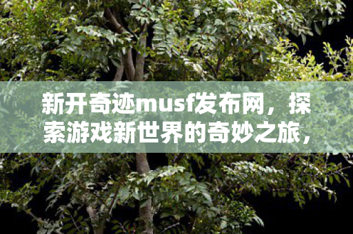 探索游戏新世界的奇妙之旅图片