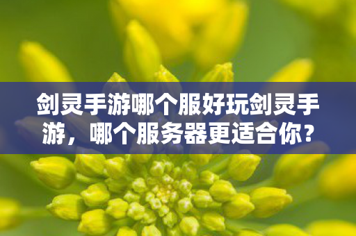 剑灵手游哪个服好玩剑灵手游,哪个服务器更适合你?剑灵手游哪个服务器最适合你? 剑灵手游哪个服好玩剑灵手游,哪个服务器更适合你?剑灵手游哪个服务器最适合你?
