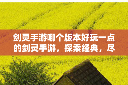剑灵手游哪个版本好玩一点的剑灵手游，探索经典，尽享乐趣，探索经典，尽享乐趣，哪个版本的剑灵手游更好玩？