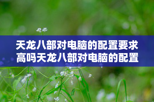 天龙八部对电脑的配置要求高吗天龙八部对电脑的配置要求图片