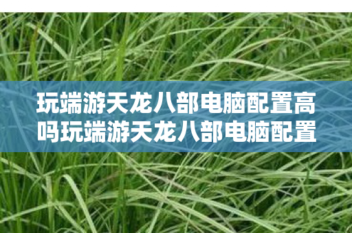 玩端游天龙八部电脑配置高吗玩端游天龙八部电脑配置指南图片