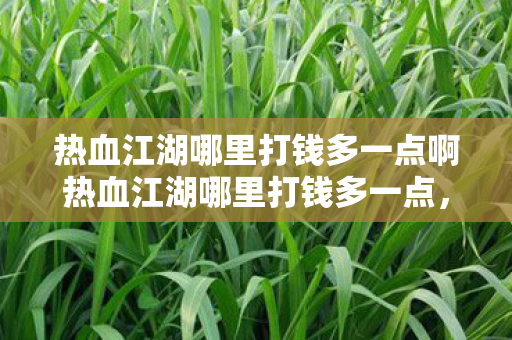 热血江湖哪里打钱多一点啊热血江湖哪里打钱多一点,高效打钱地点的全面解析,热血江湖高效打钱地点全解析 热血江湖哪里打钱多一点啊热血江湖哪里打钱多一点,高效打钱地点的全面解析,热血江湖高效打钱地点全解析