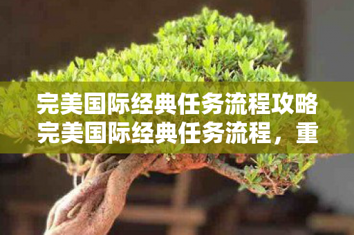 完美国际经典任务流程攻略完美国际经典任务流程图片