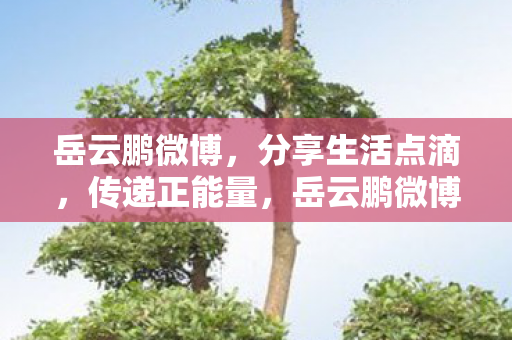 岳云鹏微博分享生活点滴图片