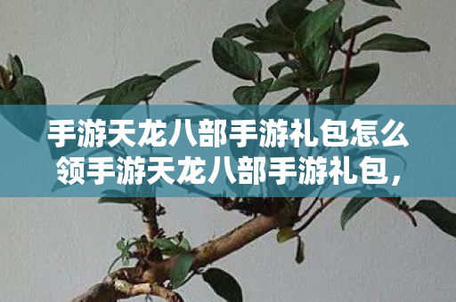 手游天龙八部手游礼包怎么领手游天龙八部手游礼包图片